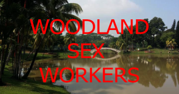 Transgender Sex Sellers At Woodland Town Park Transgender Sex Sellers At Woodland Town Park