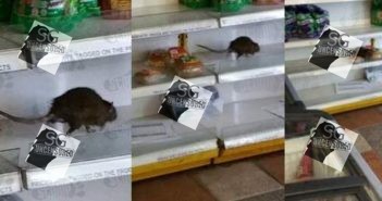 Bedok North Cheers Outlet Got RAT on Bread Shelves Bedok North Cheers Outlet Got RAT on Bread Shelves