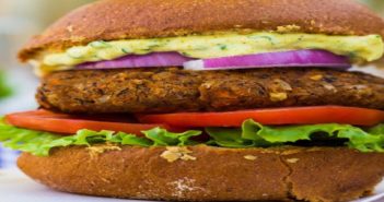 Temasek Holding financing US$75m in meatless burger maker for investment round