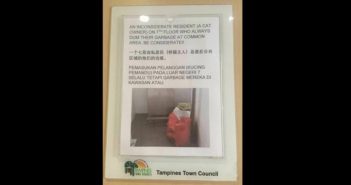 GOOGLE TRANSLATION FAIL FROM TOWN COUNCIL? GOOGLE TRANSLATION FAIL FROM TOWN COUNCIL?