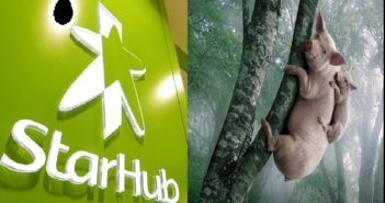 APPOINTMENT WITH STARHUB? GET PIGS TO CLIMB TREE EASIER