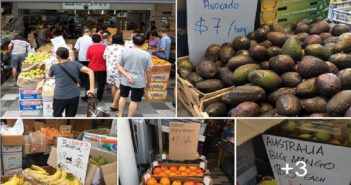 BEDOK FRUIT SHOP $5 A BAG AS MUCH AS YOU CAN! BEDOK FRUIT SHOP $5 A BAG AS MUCH AS YOU CAN!