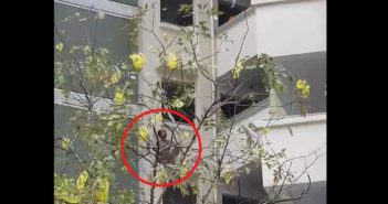 YISHUN AGAIN?! MAN ON PARAPET OF HDB! senile