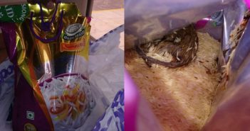 DEAD RAT FOUND IN BASMATI RICE FROM SHENG SIONG. BEDOK!! 45151515512521